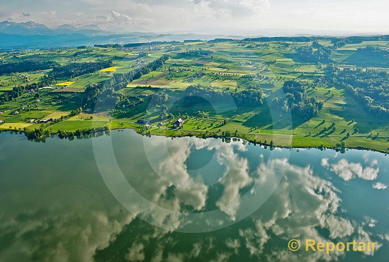 Foto: Wolken spiegeln sich im  Baldeggersee.. (Luftaufnahme von Niklaus Wächter)